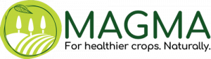 4. MAGMA Institute